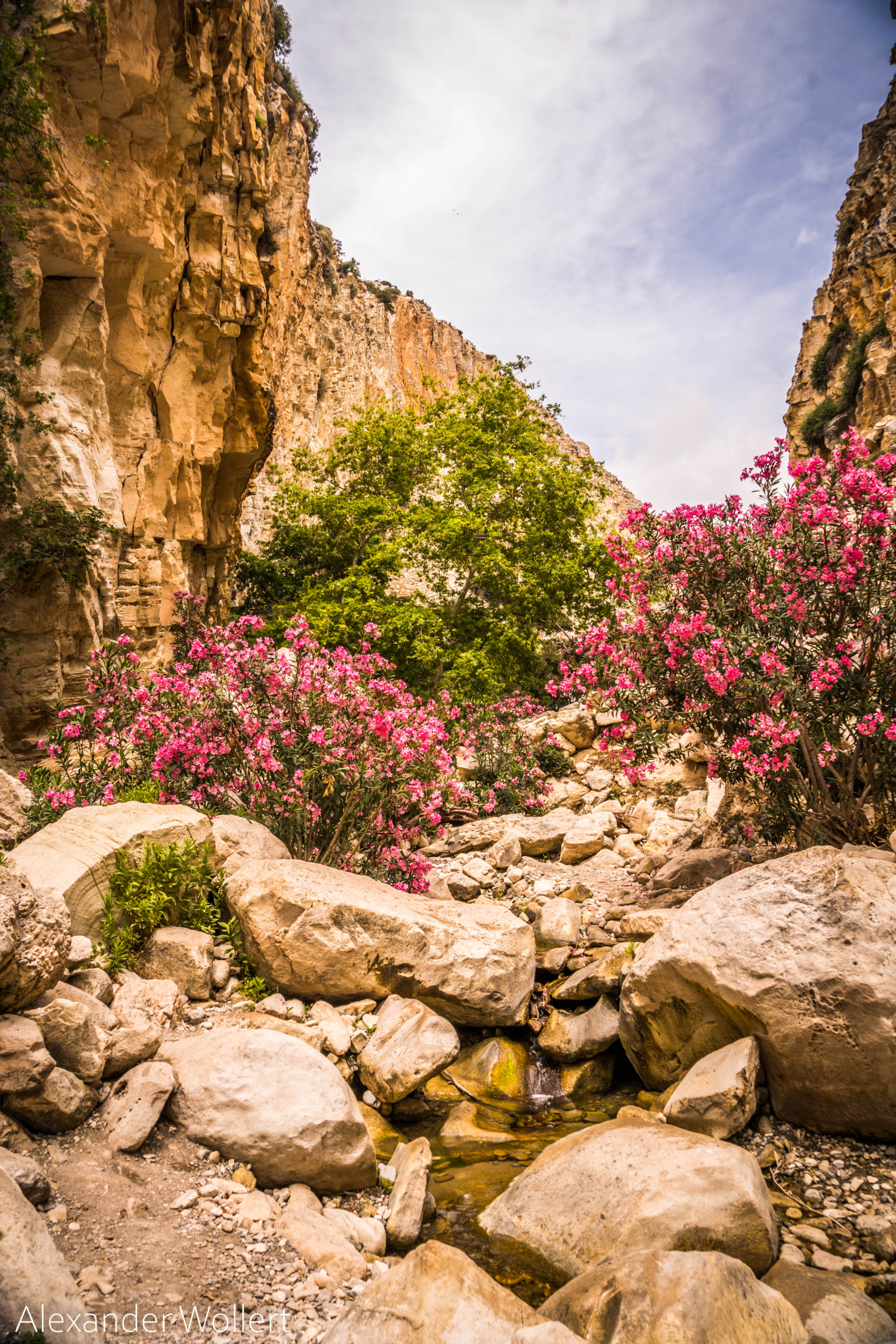 Avakas Gorge, Cyprus
